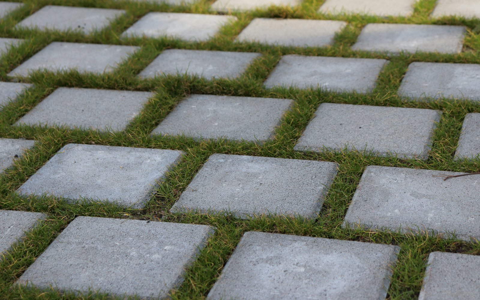 Close-up of grey block paving