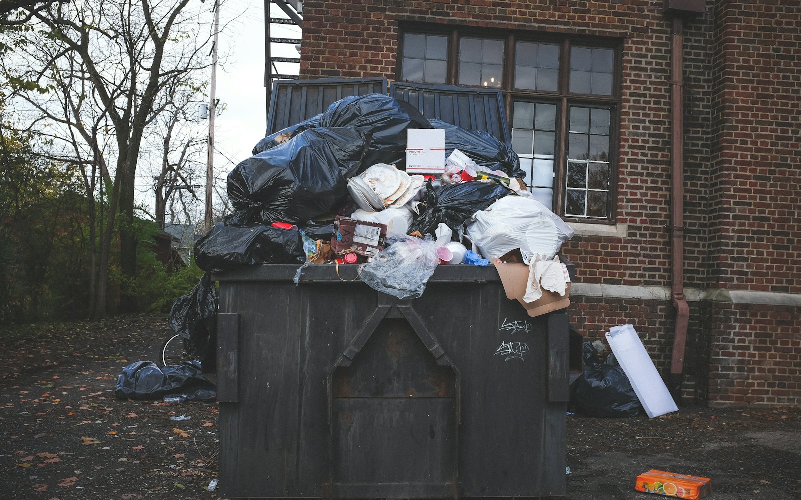 Wheelie bin outside a property