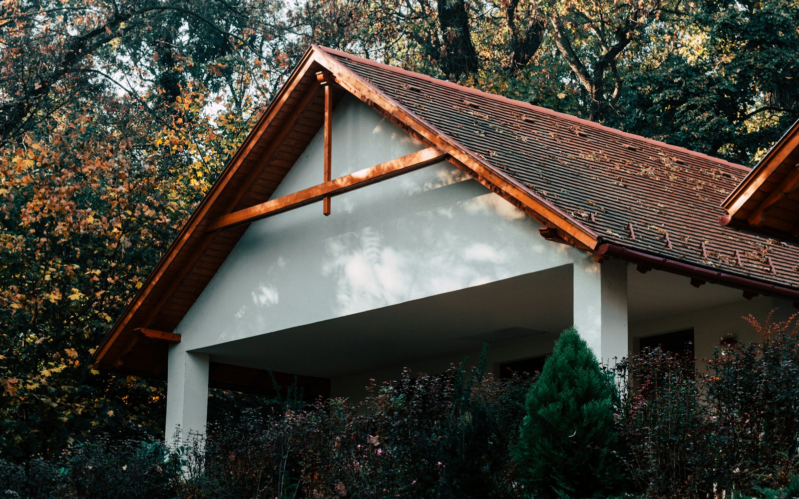 House surrounded by autumn trees